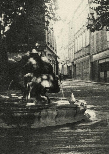 [Fontaine des neuf canons] : [photographie] / James D. Basey